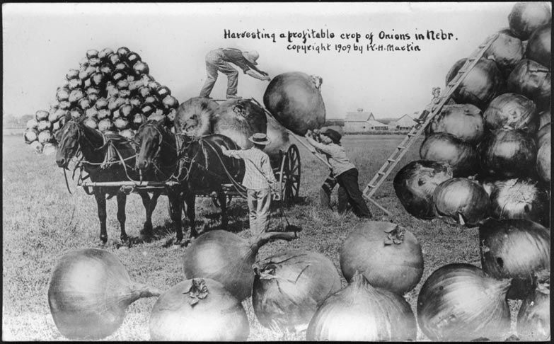 Postcards of Yore
